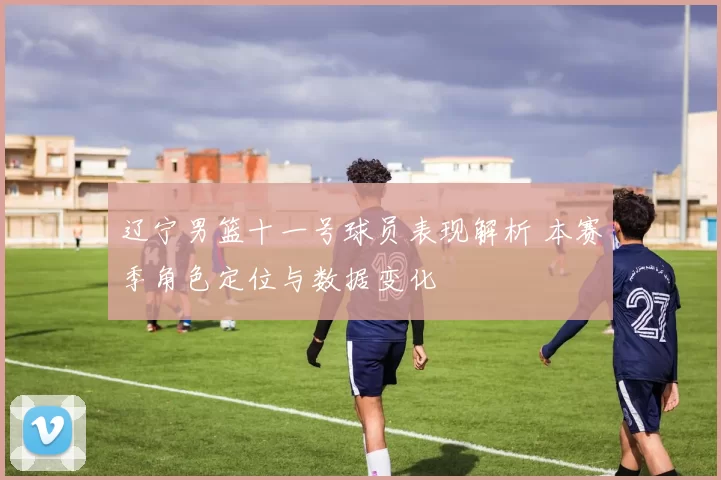 辽宁男篮十一号球员表现解析 本赛季角色定位与数据变化