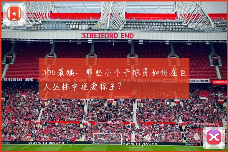 nba最矮,那些小个子球员如何在巨人丛林中逆袭称王?