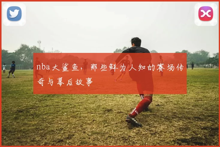nba大鲨鱼，那些鲜为人知的赛场传奇与幕后故事